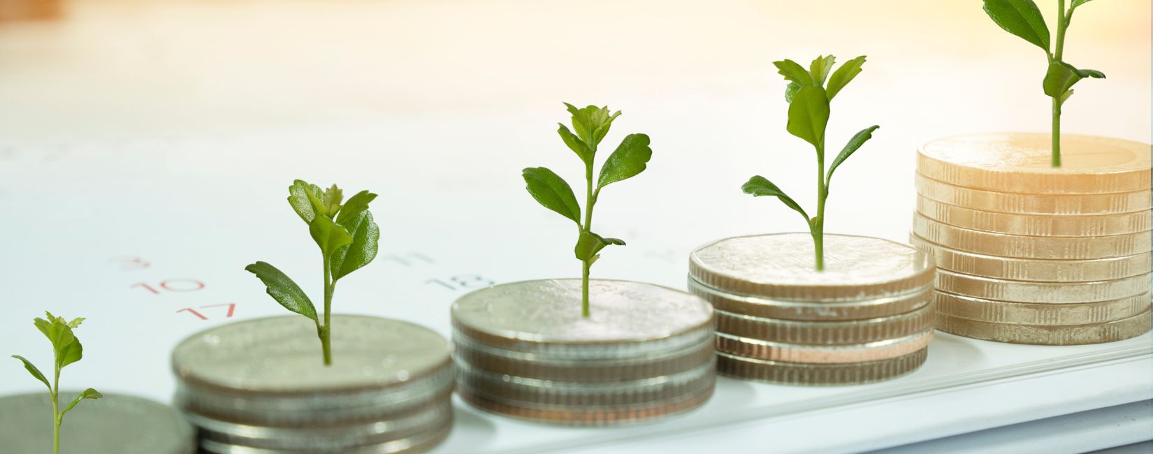 Professional Financial Experts